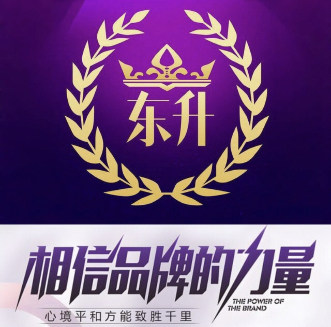 东升国际（800反588）